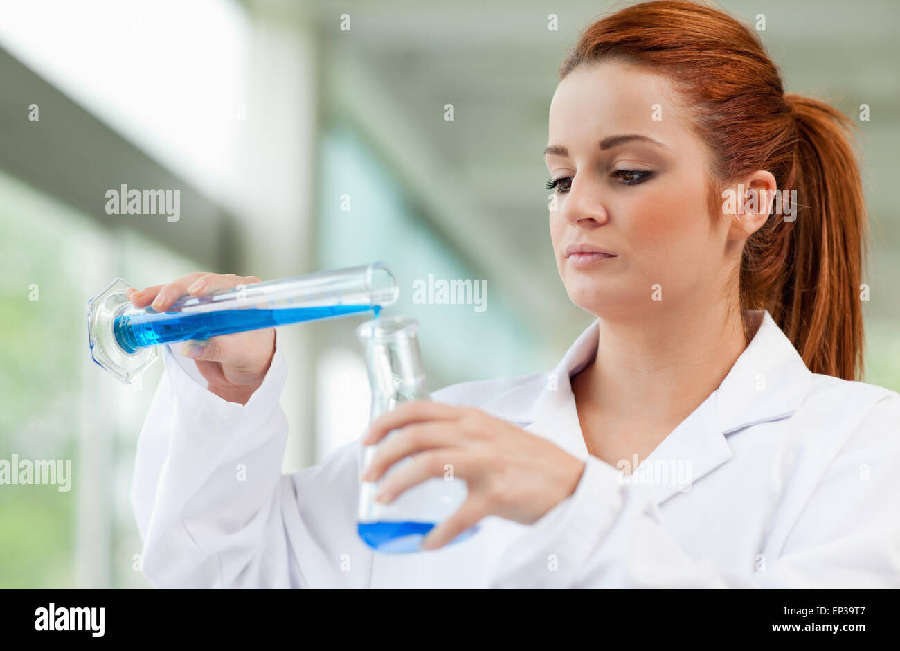 Young Scientist pouring liquid bleu dans un Erlenmeyer Banque D'Images