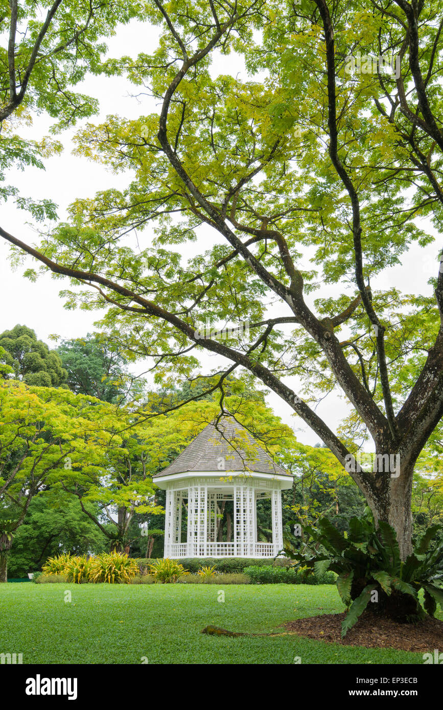 Le célèbre jardin botanique de Singapour au kiosque Banque D'Images