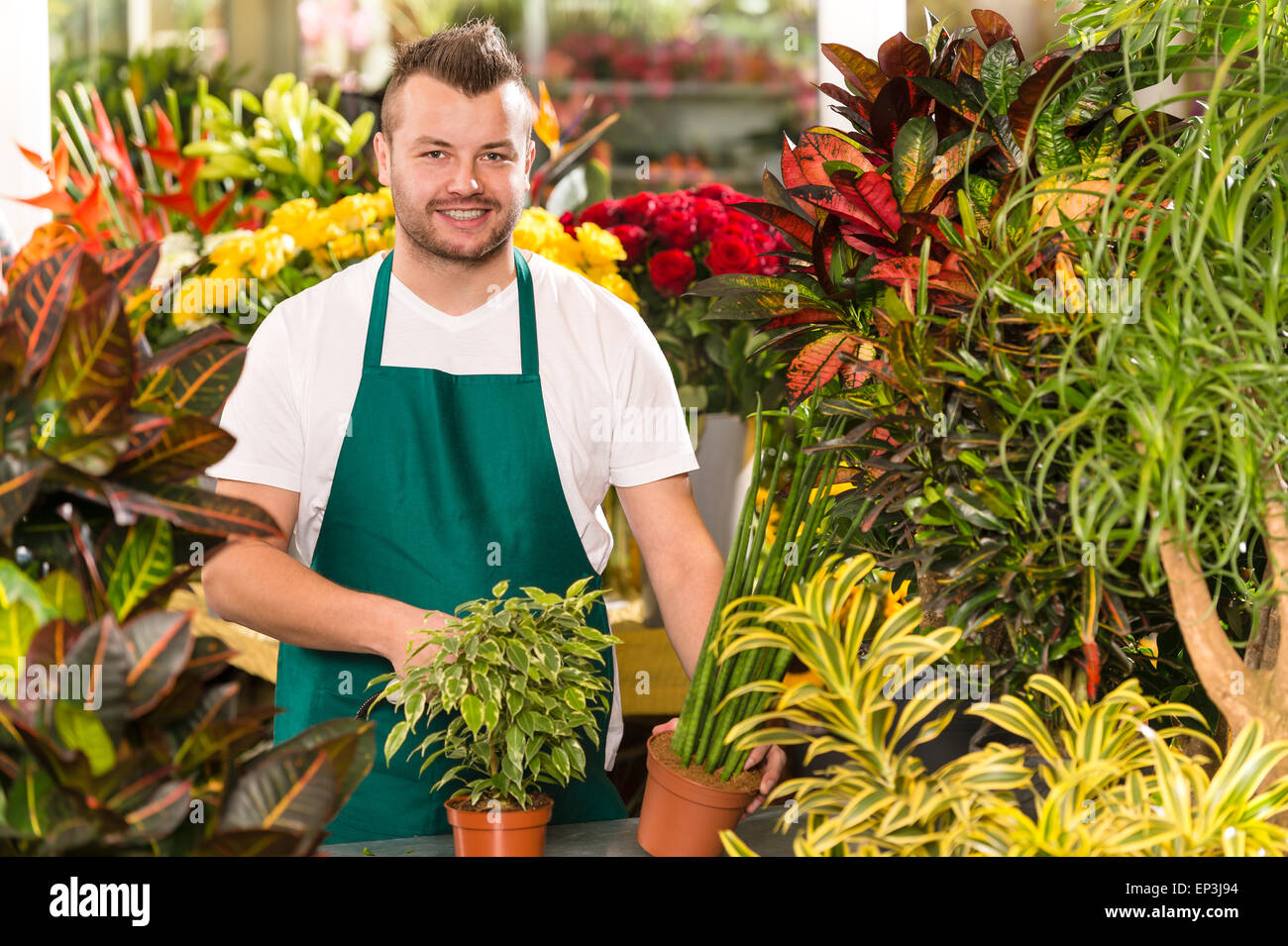 Happy male florist boutique jardinage de fleur de travail Banque D'Images