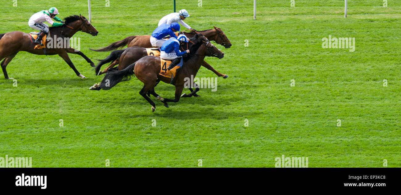 York UK 13 mai 2015 Mabsoob (numéro 4), monté par Paul Casino, force son moyen de gagner la première course de la journée à la Dante Festival à New York. Les courses de chevaux à York UK Crédit : John Fryer/Alamy Live News Banque D'Images