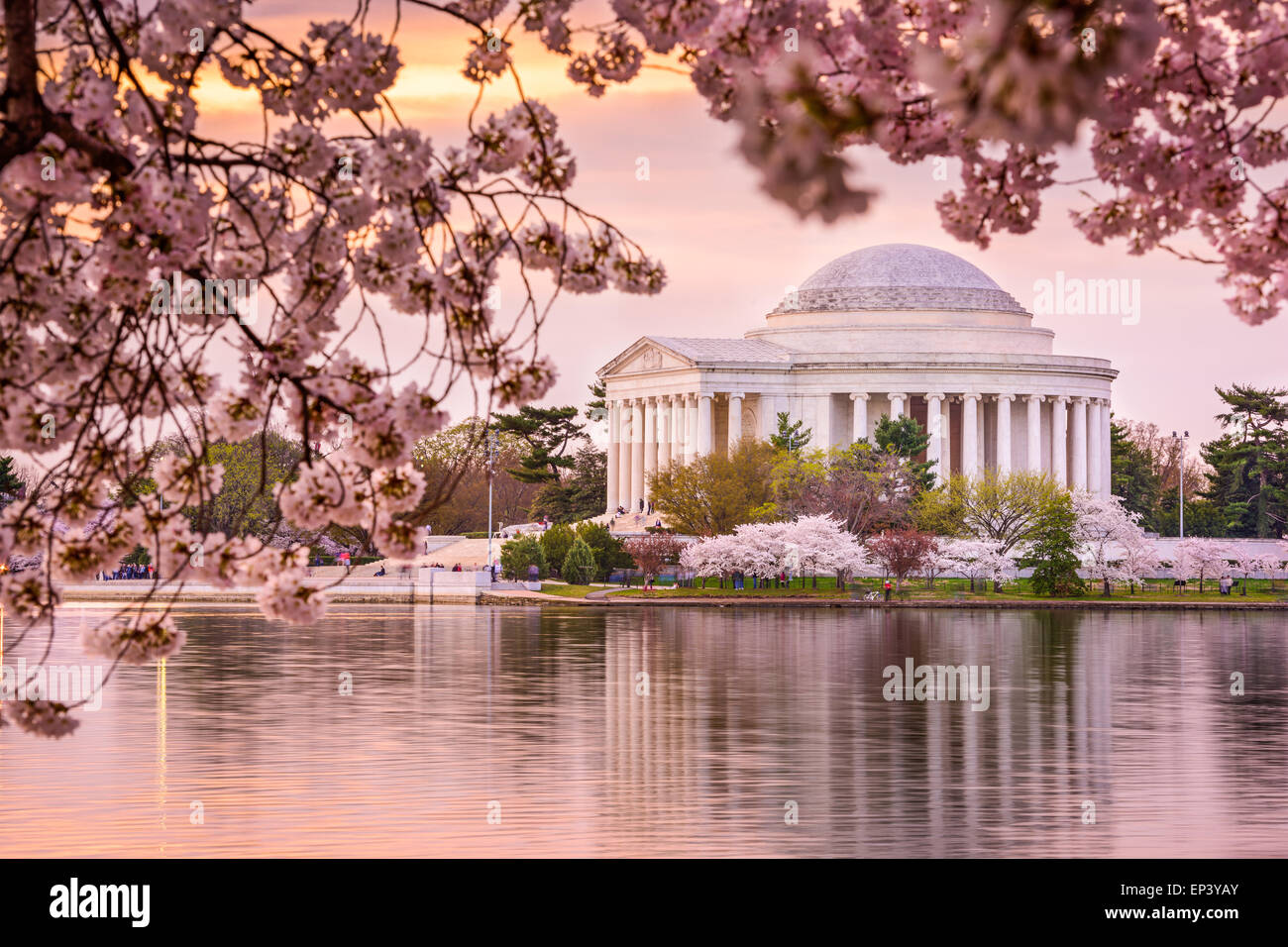 Washington, DC au Tidal Basin et Jefferson Memorial au printemps. Banque D'Images