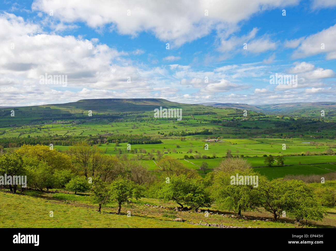 Wensleydale et Penhill, Yorkshire Dales National Park, North Yorkshire, England UK Banque D'Images