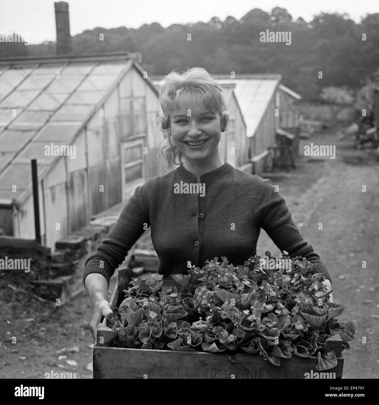 Deutsche Schauspielerin Karin Stoltenfeldt in einer Gärtnerei dans Bad Oldesloe, Deutschland 1950er Jahre. L'actrice allemande Kari Banque D'Images