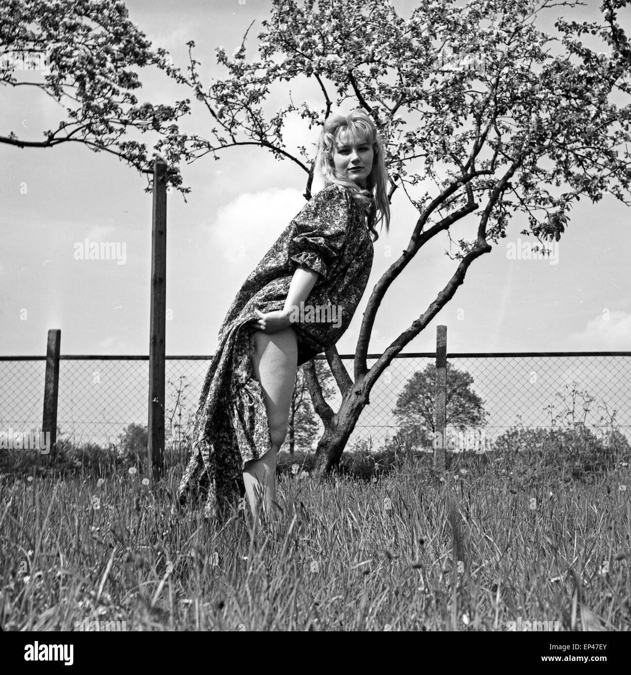 Deutsche Schauspielerin Karin Stoltenfeldt posiert im Garten, Deutschland 1950er Jahre. L'actrice allemande Karin Stoltenfeldt po Banque D'Images