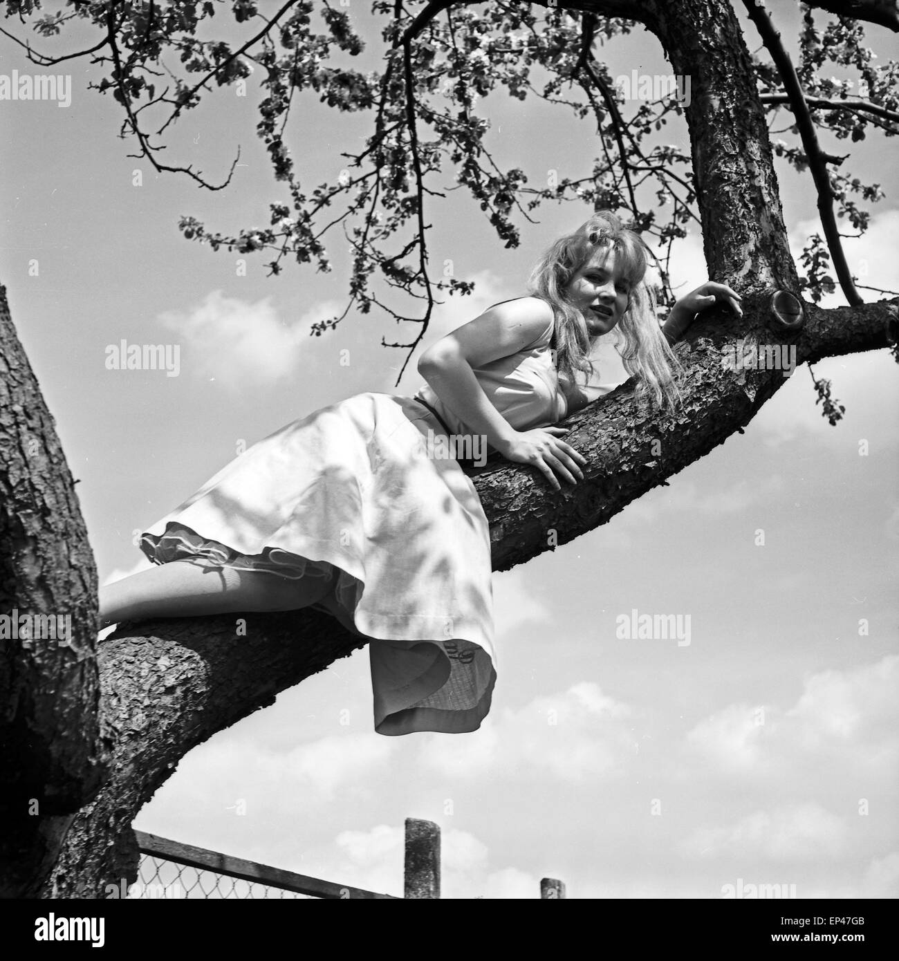 Deutsche Schauspielerin Karin Stoltenfeldt auf einem Baum, Deutschland 1950er Jahre. L'actrice allemande Karin sur un Stoltenfeldt Banque D'Images