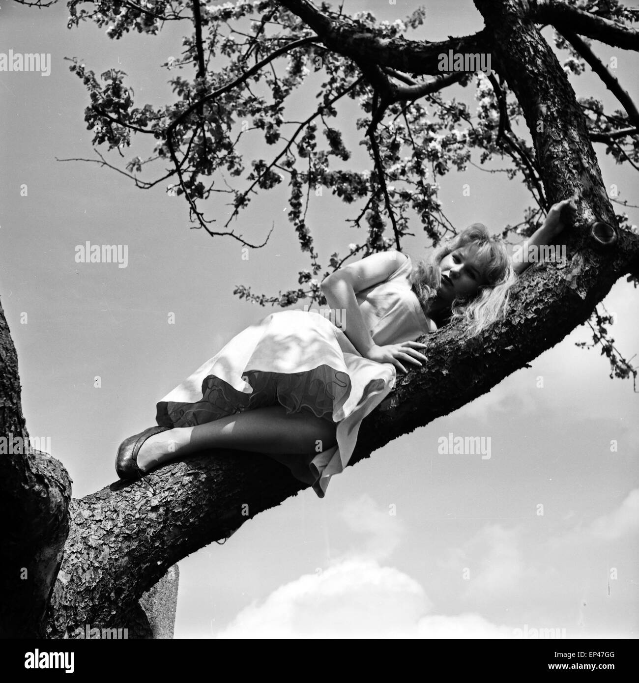 Deutsche Schauspielerin Karin Stoltenfeldt auf einem Baum, Deutschland 1950er Jahre. L'actrice allemande Karin sur un Stoltenfeldt Banque D'Images
