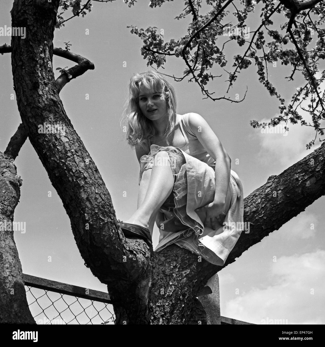 Deutsche Schauspielerin Karin Stoltenfeldt auf einem Baum, Deutschland 1950er Jahre. L'actrice allemande Karin sur un Stoltenfeldt Banque D'Images