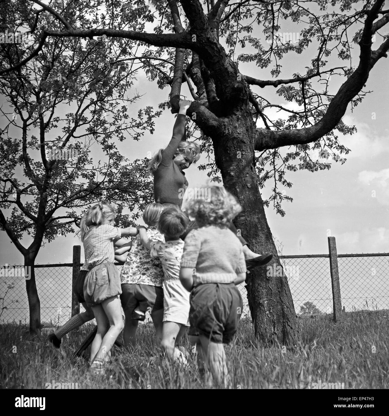 Deutsche Schauspielerin Karin Stoltenfeldt spielt mit Kindern im Garten, Deutschland 1950er Jahre. L'actrice allemande Karin Stol Banque D'Images