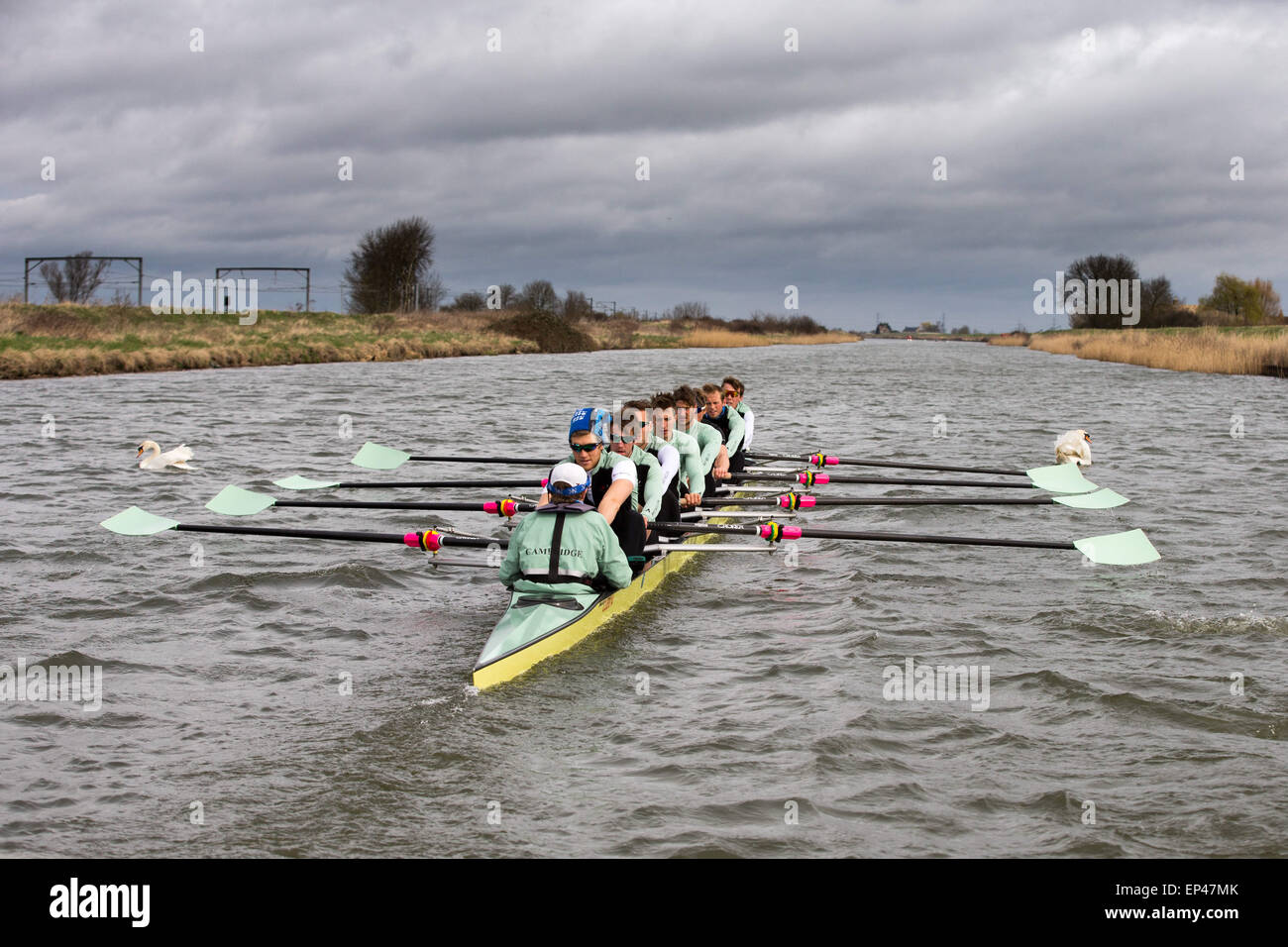 Les équipes de l'Université de Cambridge Boat sur leur dernière session de formation sur la rivière Great Ouse avant la course de bateau Banque D'Images