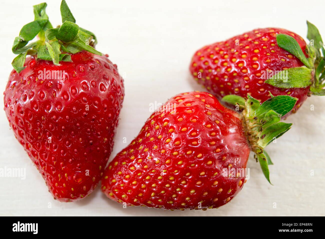 Fraises fraîches sur fond blanc Banque D'Images