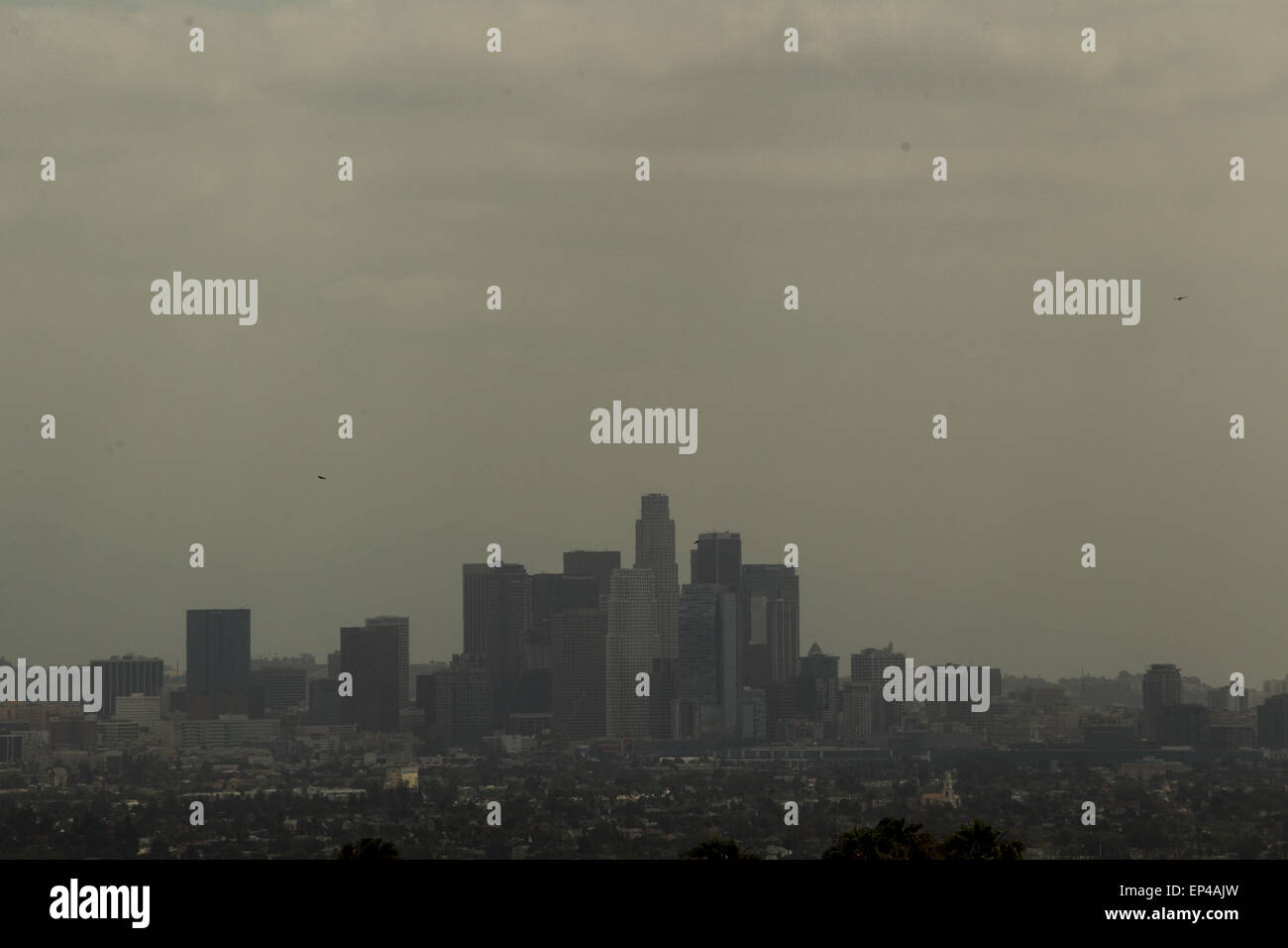 13 mai 2015 - Los Angeles, Californie, États-Unis - sombre et menaçant les nuages planent sur le centre-ville de Los Angeles Mercredi, 13 mai 2015. Un temps anormalement froid verglas devant générer des vents furieux dirigé vers la Southland aujourd'hui, avec de la pluie prévue pour le début jeudi après-midi et peut-être d'une durée jusqu'à vendredi soir. La tempête, qui trouve son origine dans le golfe d'Alaska, peuvent déclencher des précipitations dans le Nord de la Californie dès ce soir, les prévisionnistes du National Weather Service a déclaré. (Crédit Image : © Ringo Chiu/Zuma sur le fil) Banque D'Images