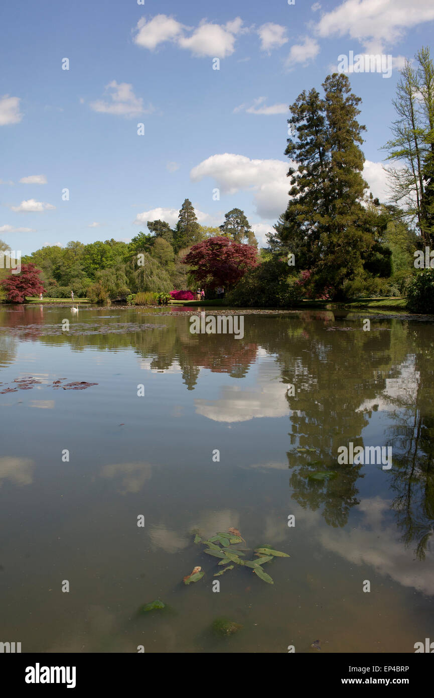 Sheffield Park Garden & lacs Banque D'Images