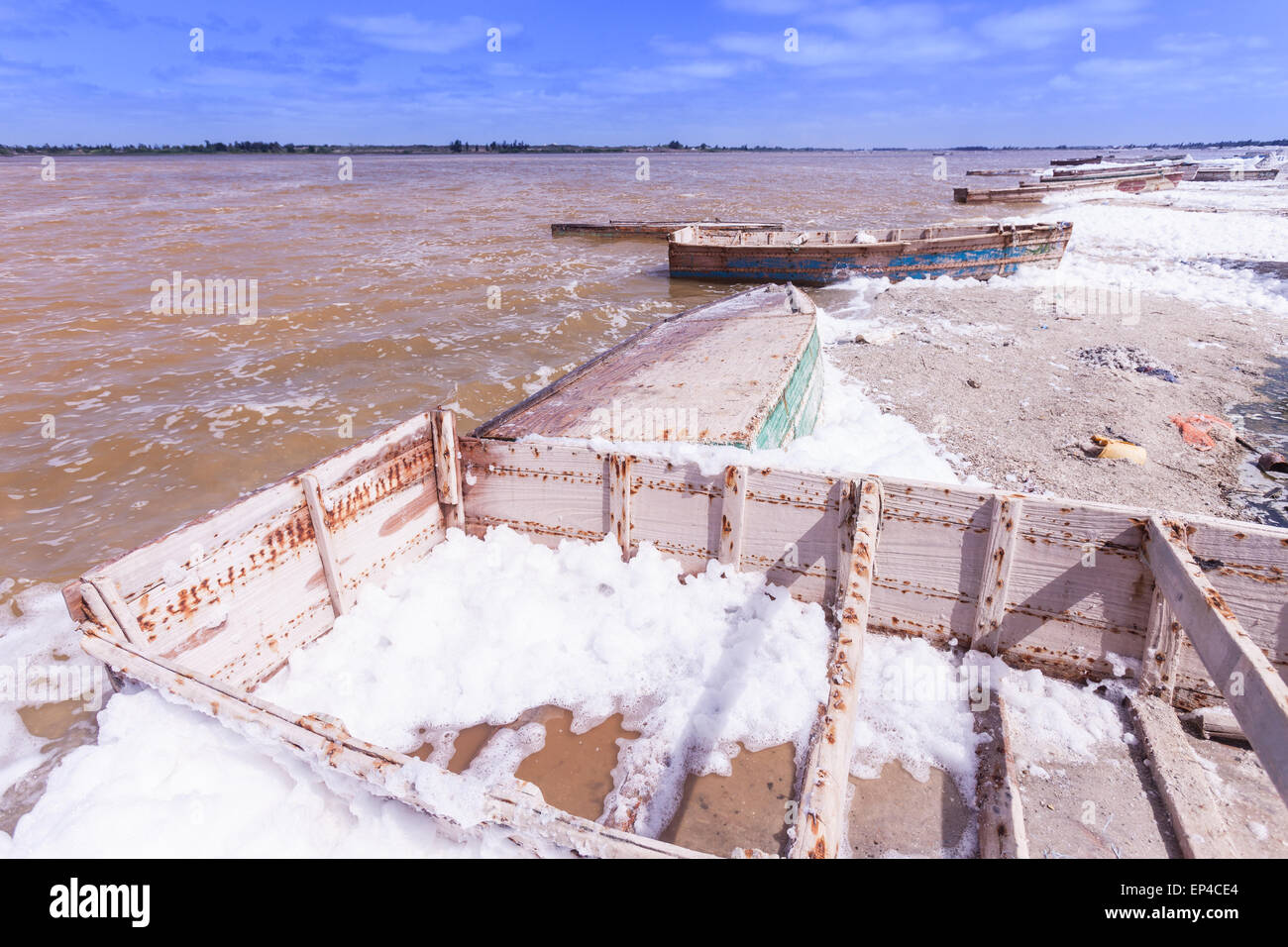 Le Lac Retba, lac salé, nommé lac rose pour la couleur des plantes à l'intérieur Banque D'Images