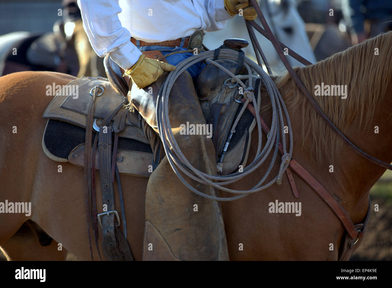 Cowboy & horse & rope Banque D'Images