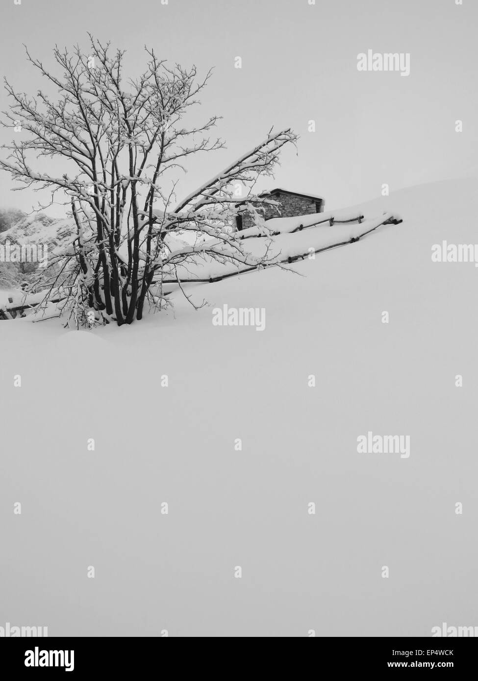 Une vue de la neige fraîche sur une montagne Banque D'Images