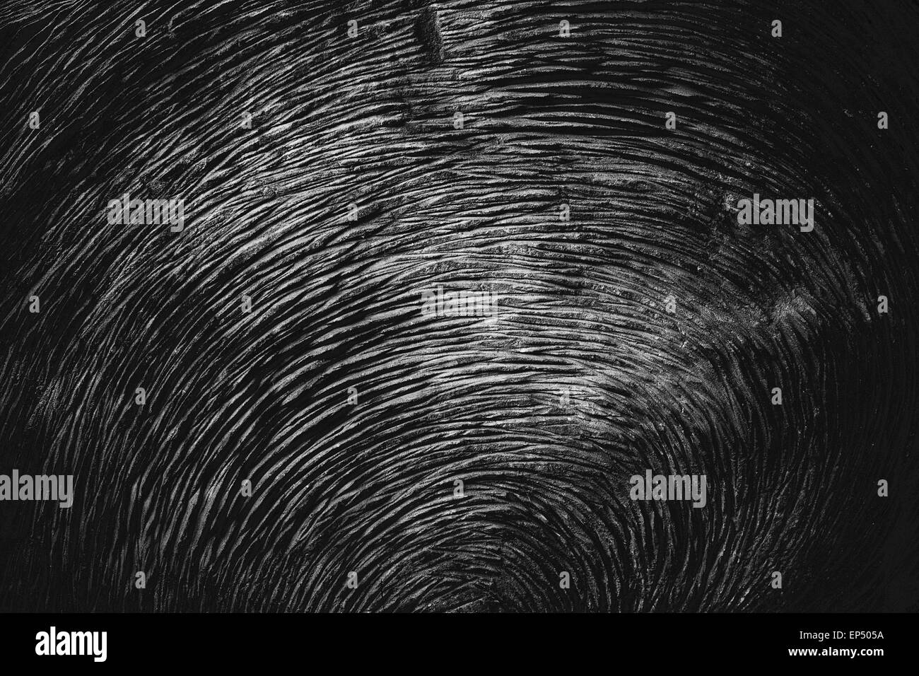 La texture de l'écorce des arbres Banque D'Images