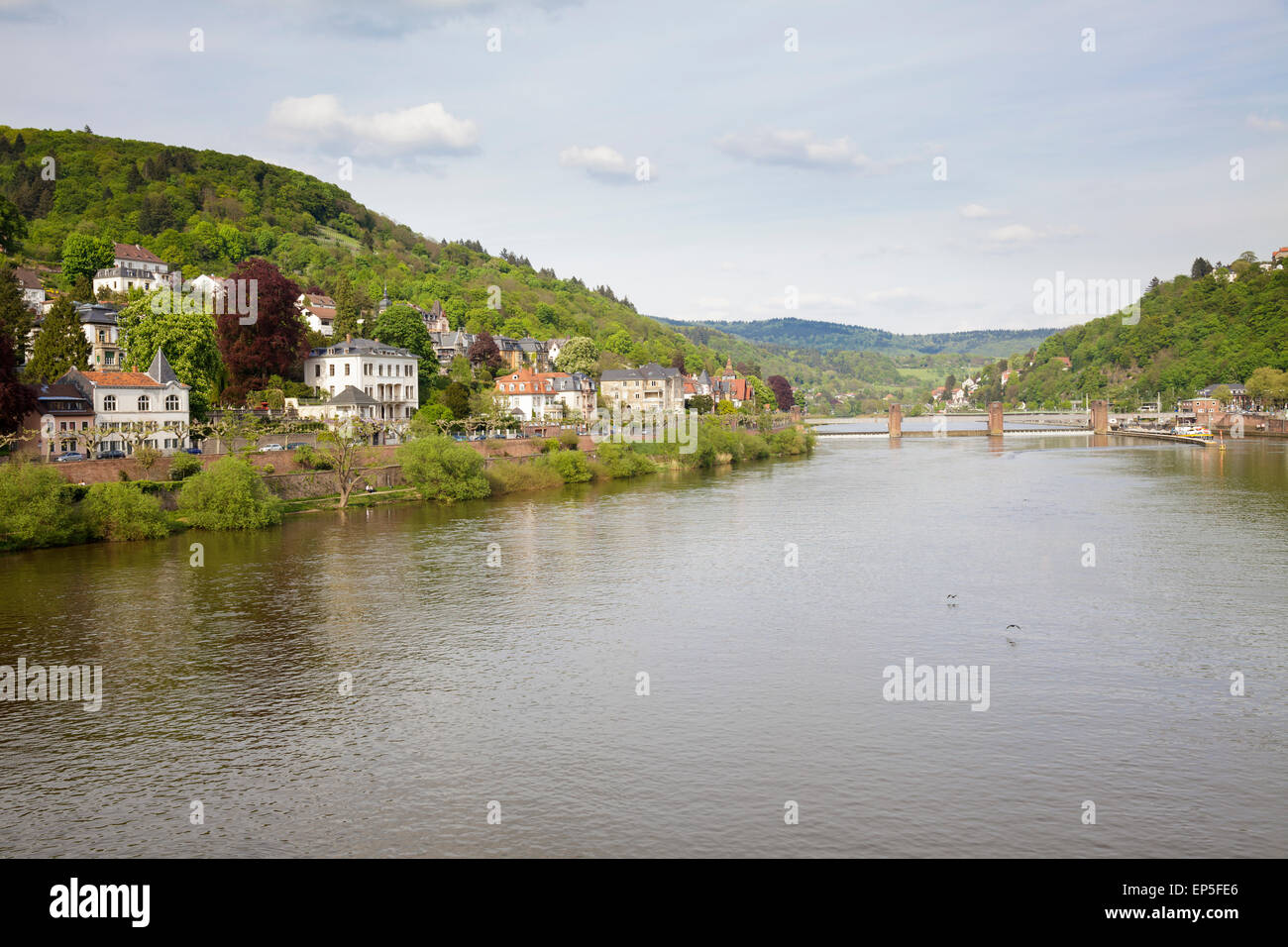 Rivière Neckar vu de l'Alte Brucke, Heidelberg, Bade-Wurtemberg, Allemagne Banque D'Images