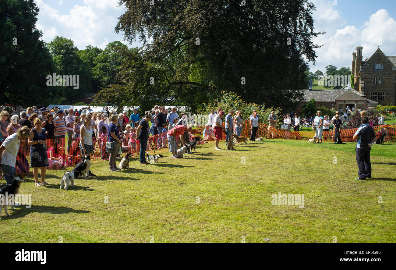 Dog Show lors d'une foire d'été traditionnel anglais. Banque D'Images
