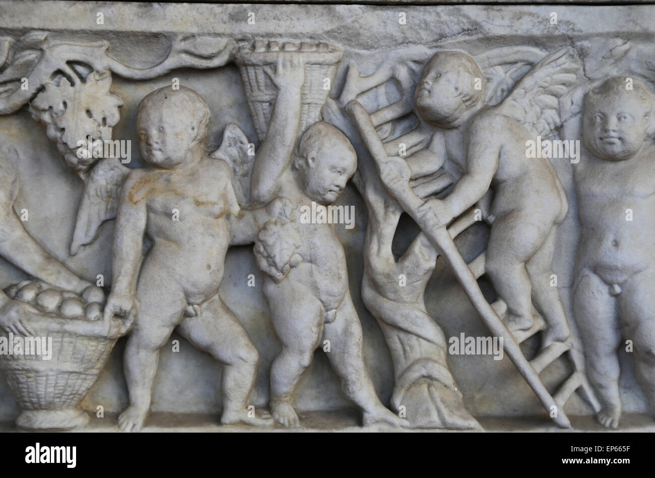 Sarcophage décoré de vendanges Cupids. En. 160 AD. Rome. Musée National Romain. Thermes de Dioclétien. Rome. Banque D'Images