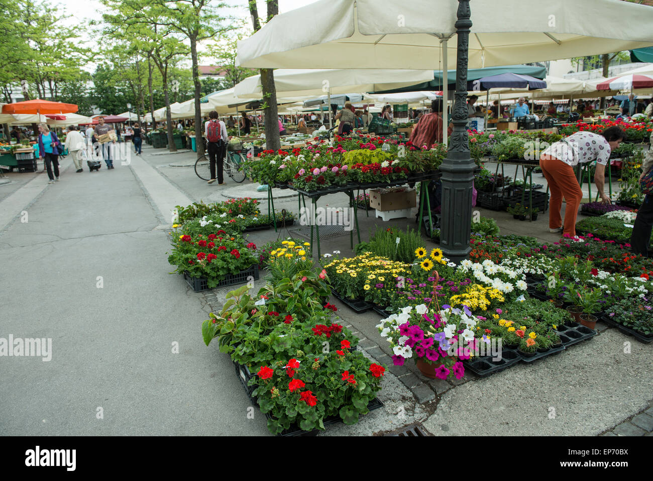 Ouvrir le marché floral à Ljubljana Banque D'Images