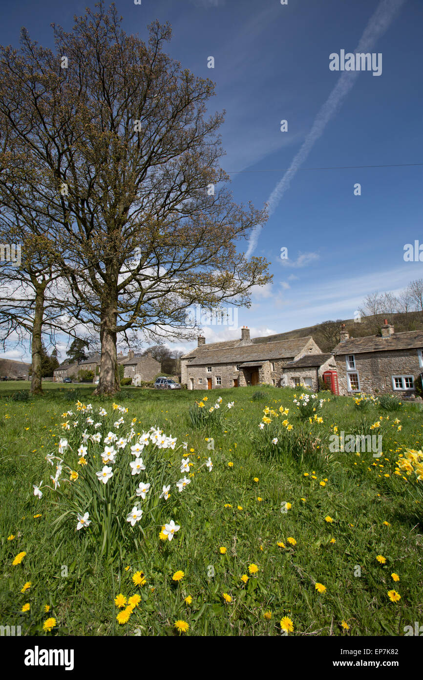 Yorkshire Dales, Angleterre. Printemps pittoresque vue du Yorkshire village de Arncliffe. Banque D'Images