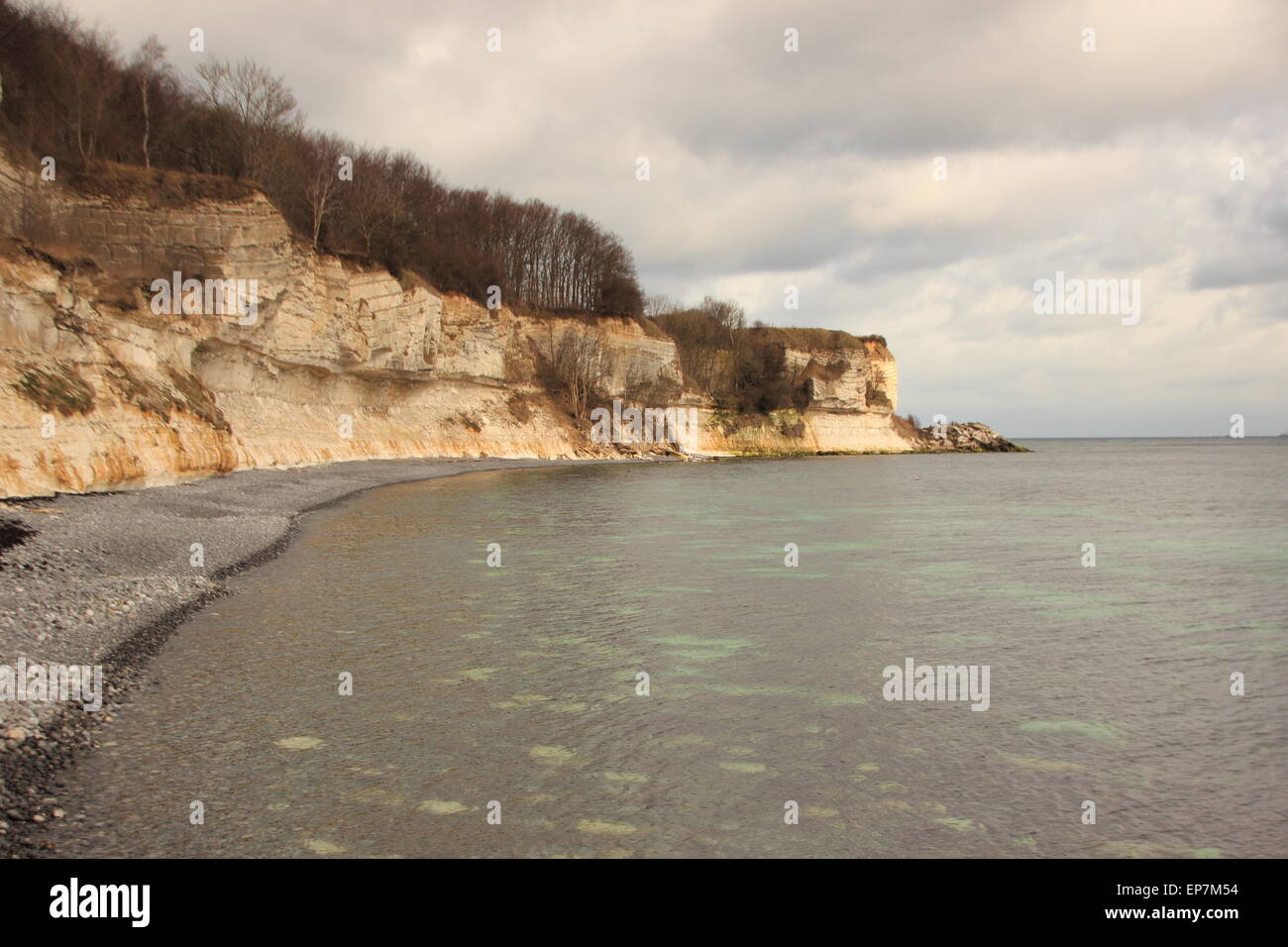 Denmarks Stevns Klint côte au niveau de la mer avec falaise blanche et réflexions d'argile calcaire Banque D'Images