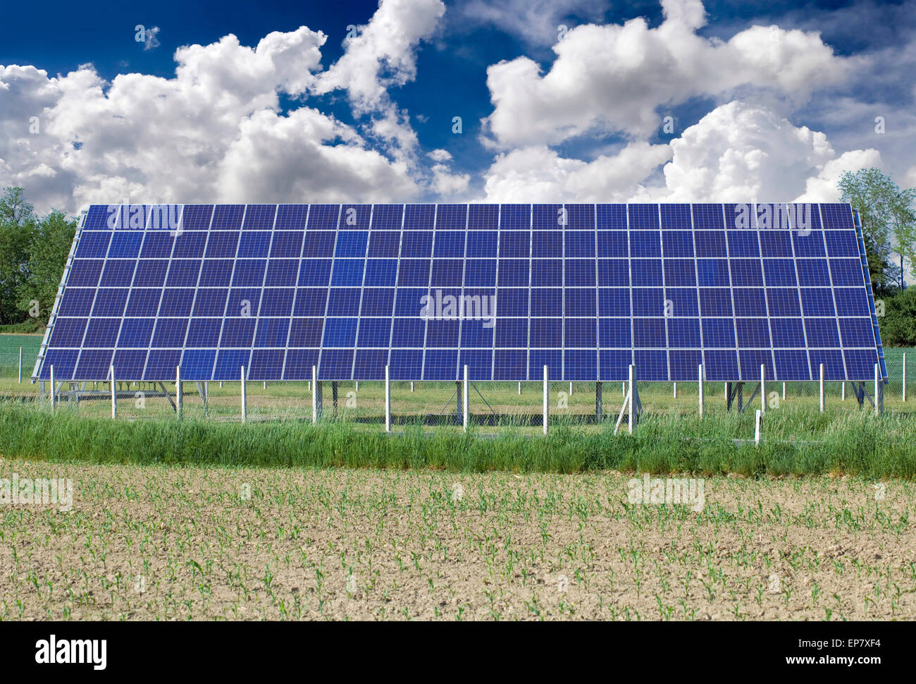 Panneau solaire photovoltaïque sur le terrain Banque D'Images