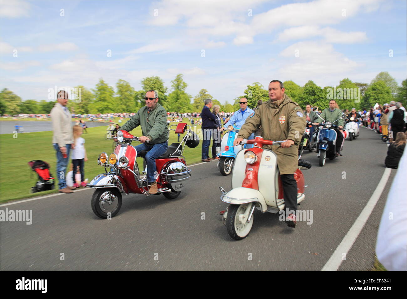 Lambretta scooters Piaggio et Châtaignier, dimanche, Bushy Park, Hampton Court, Angleterre, Grande-Bretagne, Royaume-Uni, UK, Europe. Banque D'Images