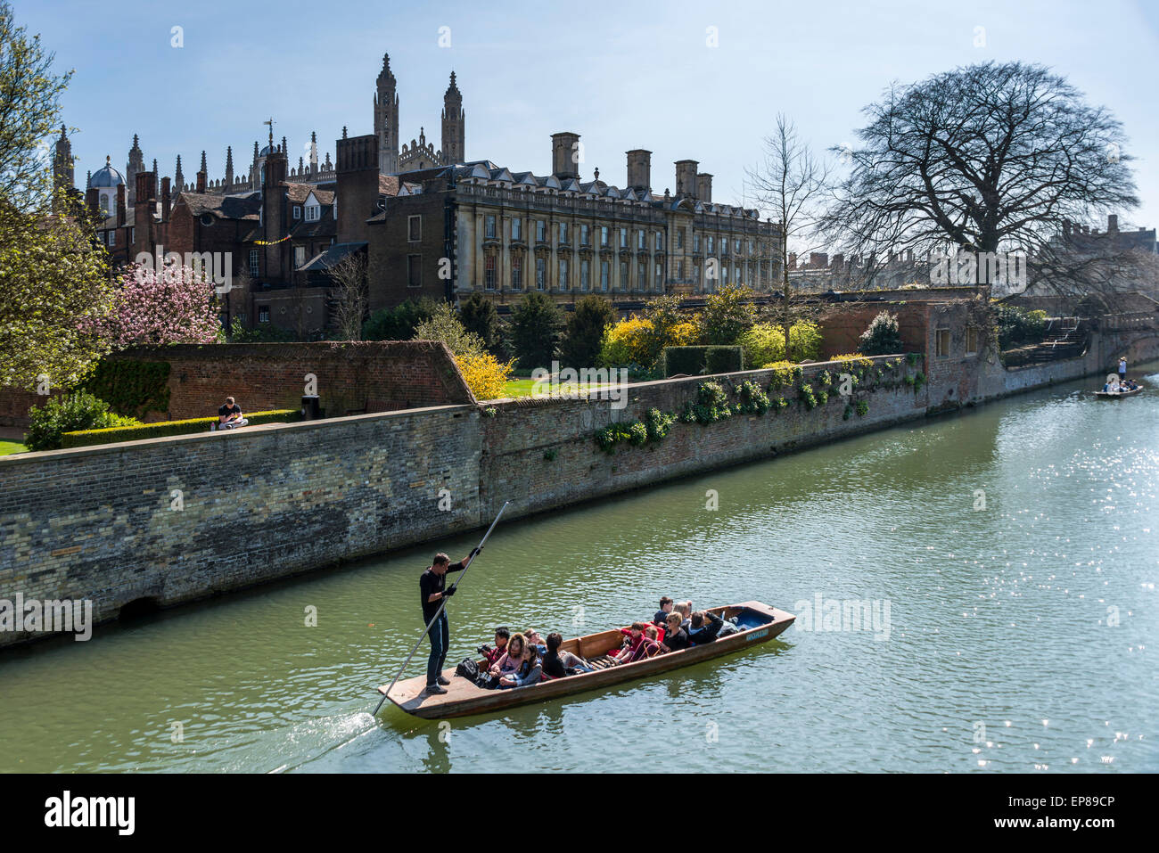 Promenades en barque sur la rivière Cam à Cambridge en Angleterre prend dans le dos des célèbres collèges de l'université, ici, Clare College Banque D'Images