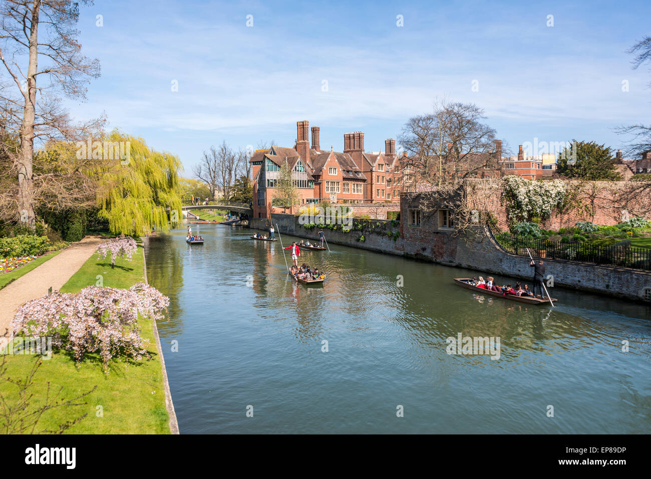 Promenades en barque sur la rivière Cam à Cambridge en Angleterre prend dans le dos, célèbre ici l'arrière de Trinity College peut être vu. Banque D'Images