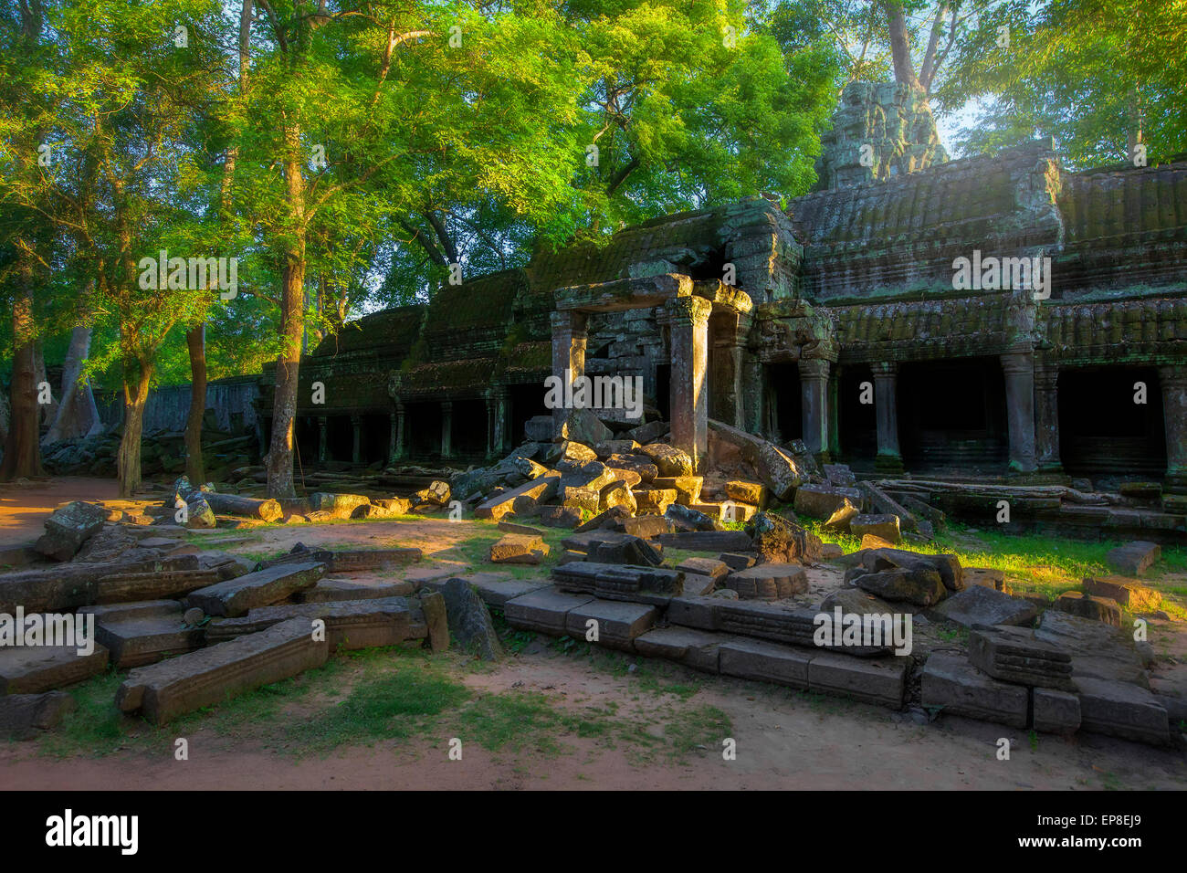 Ta Phrom Jungle Temple Banque d'image et photos Alamy