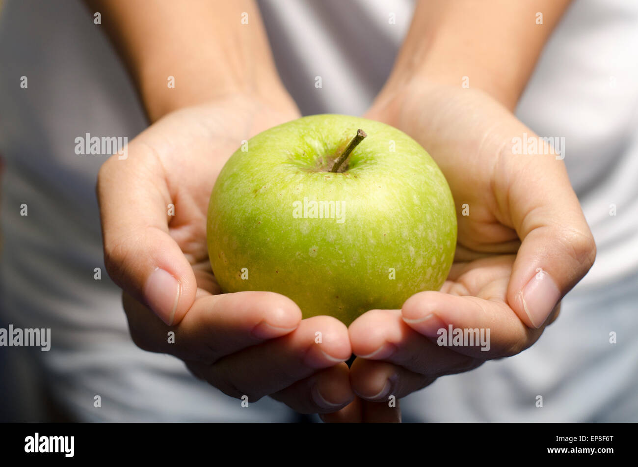 Woman hand holding fruit pomme verte Banque D'Images