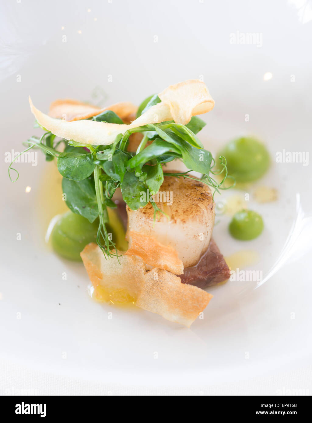 Puree De Pois Banque De Photographies Et D Images A Haute Resolution Alamy Puree De Pois Banque De Photographies Et D Images A Haute Resolution Alamy