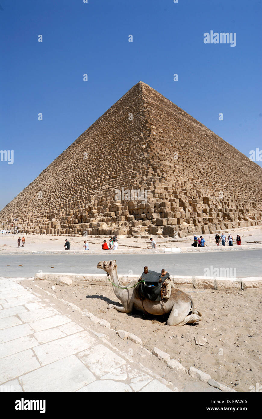 Grande Pyramide, Giza, Egypte Banque D'Images