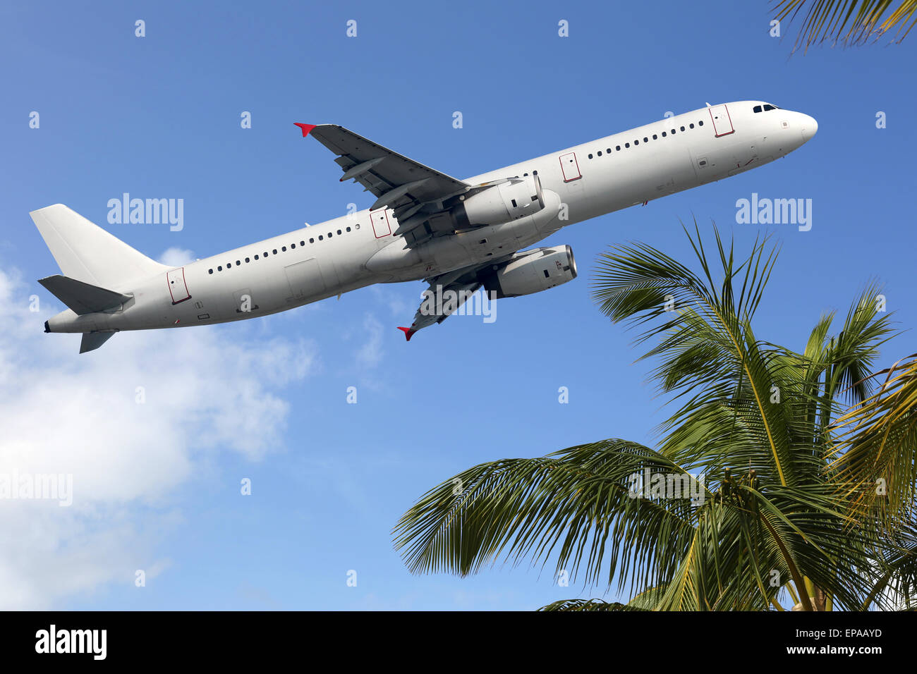 Flugzeug startet zwischen Palmen in den Urlaub Banque D'Images