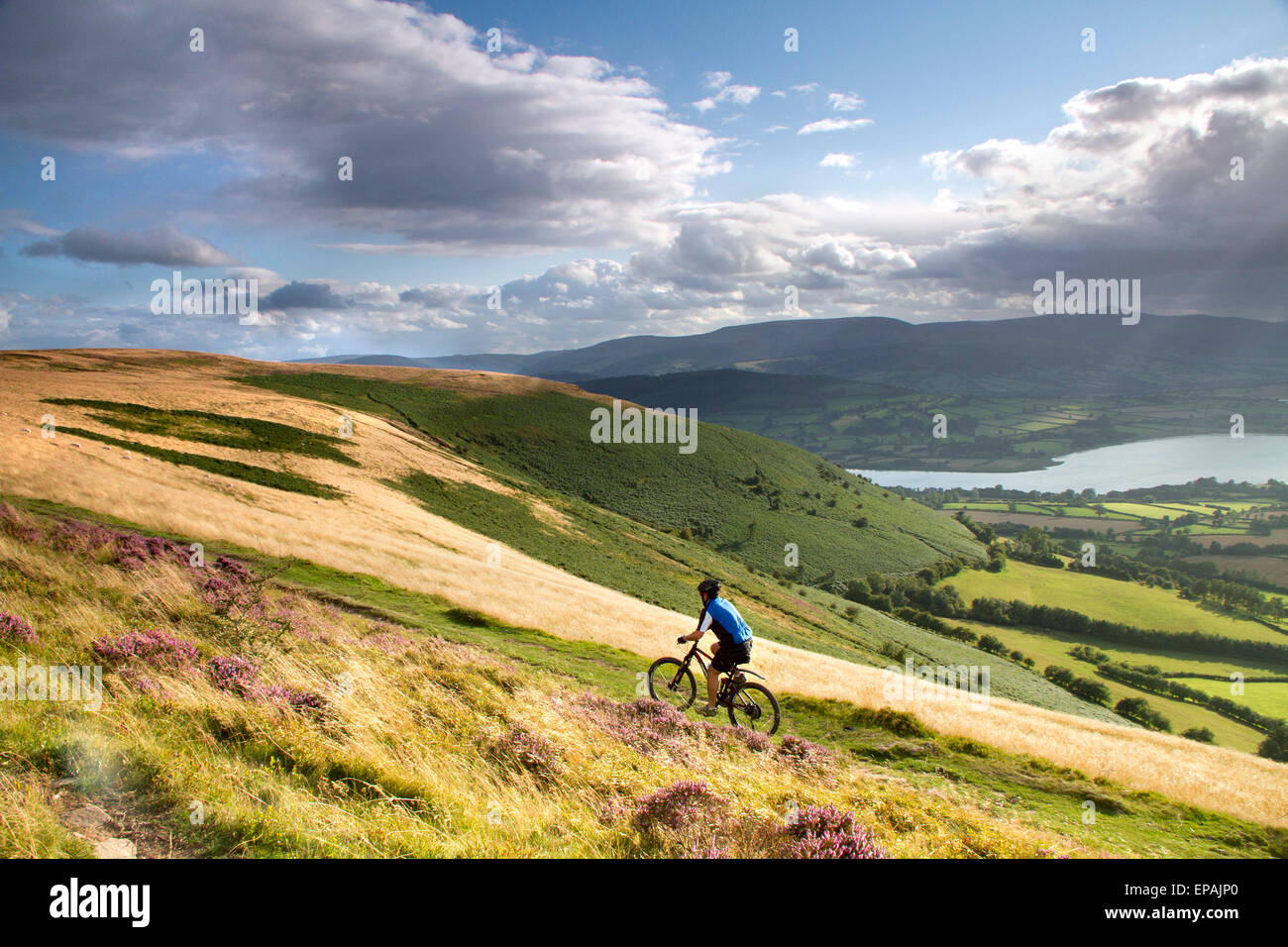 Homme faisant du vélo dans les balises Brecon. Le lac de Llangorse est en arrière-plan. Banque D'Images