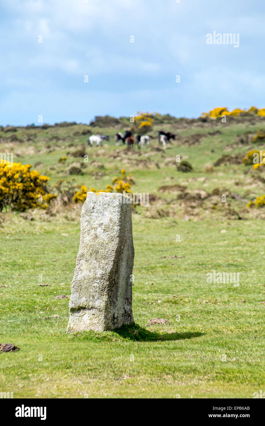 Hurlers sur Bodmin Moor cornwall england uk Banque D'Images