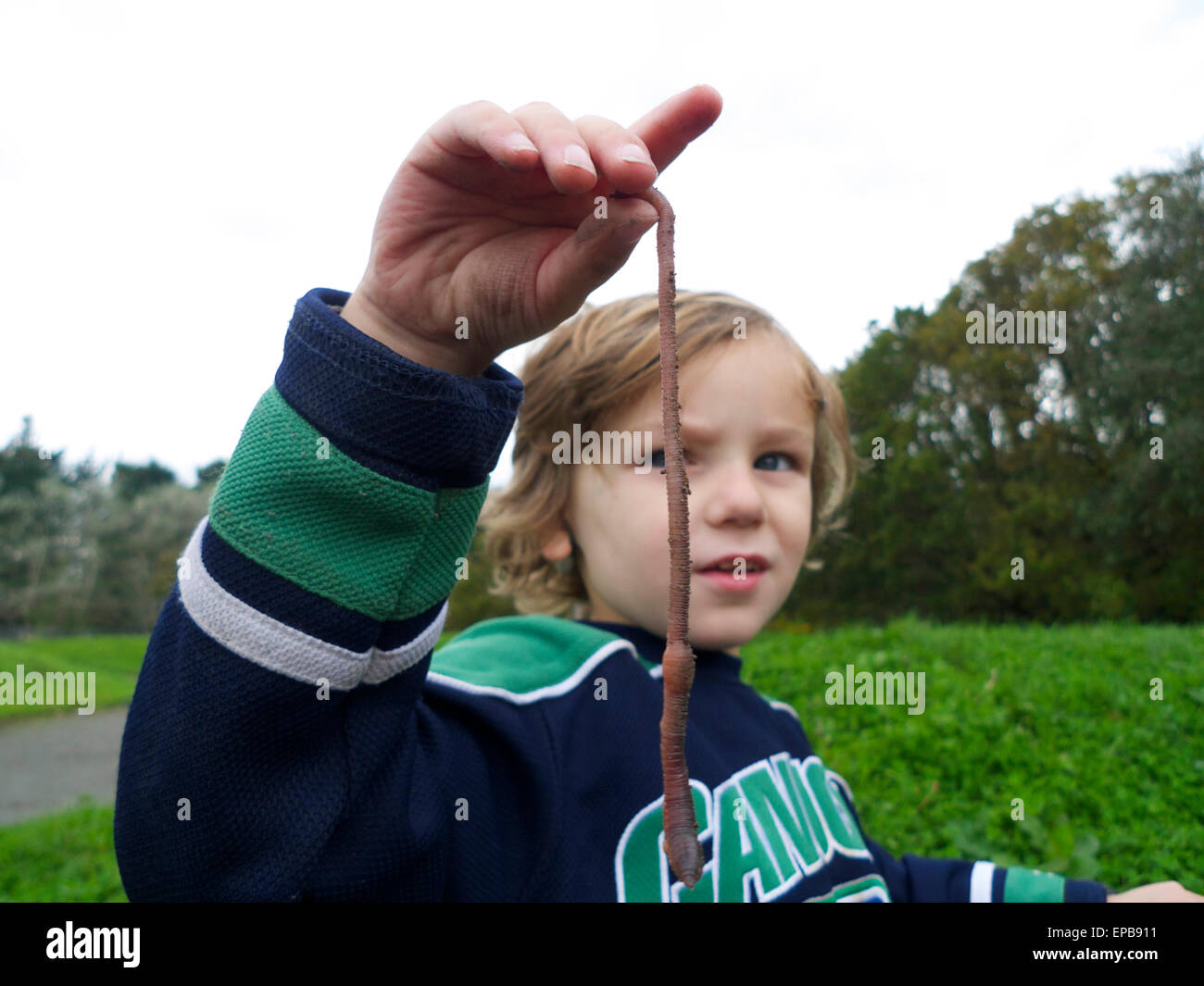 Garçon 4yrs fasciné en regardant un long ver de terre qu'il tient dans sa main dans le jardin pays de Galles UK Grande-Bretagne KATHY DEWITT Banque D'Images