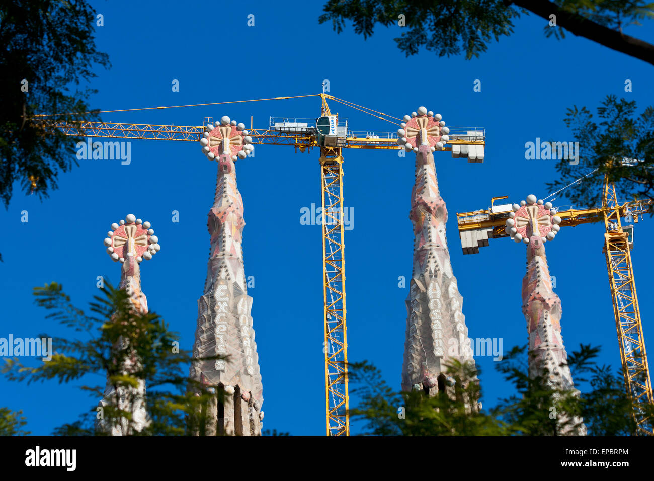 Les clochers de la Sagrada Familia et de grues à tour en concurrence à Barcelone Banque D'Images