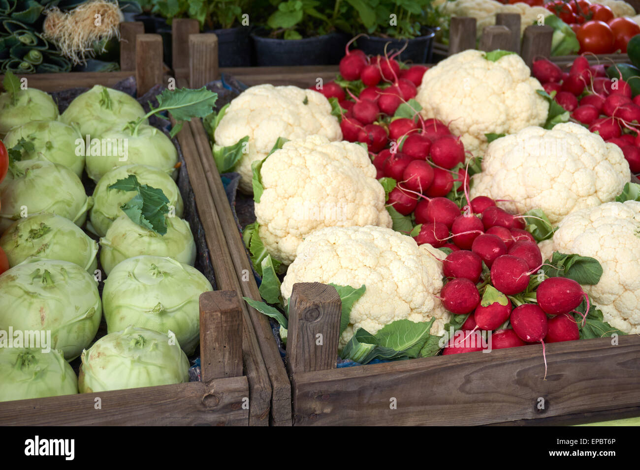 Frissen vágott kalódás gyertyán Gemüse dans Holzkisten auf dem Wochenmarkt Banque D'Images