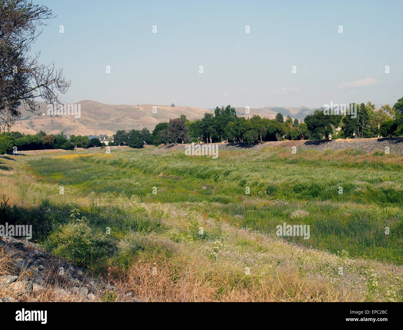 Alameda Creek, l'East Bay Regional Park District, Union City, California, USA Banque D'Images