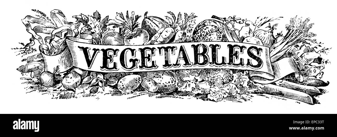Illustration historique de légumes avec bannière graphique à partir de la 20e siècle. Banque D'Images