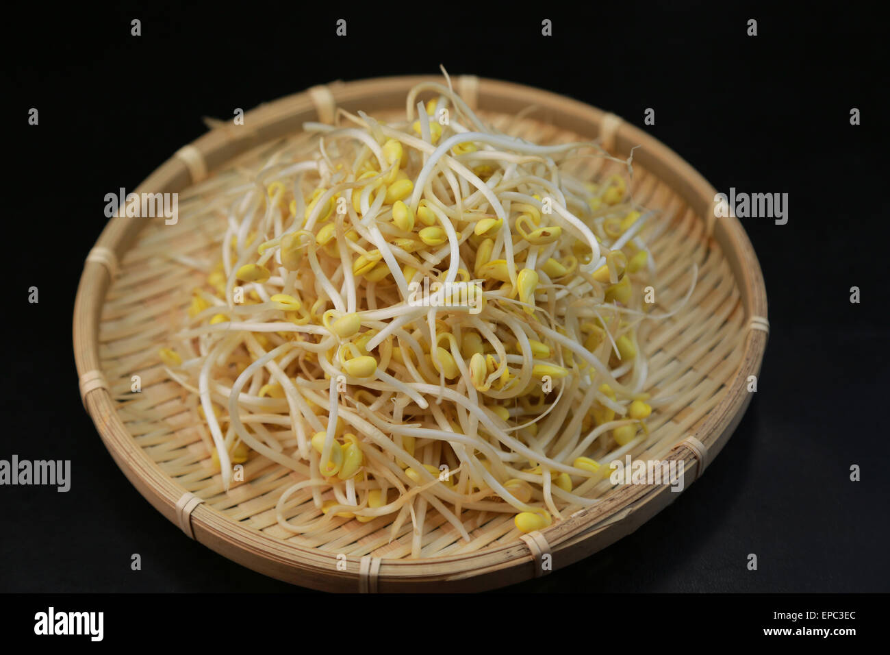 Germes de haricot Banque D'Images