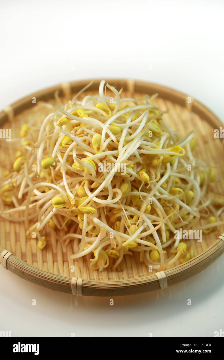 Germes de haricot Banque D'Images