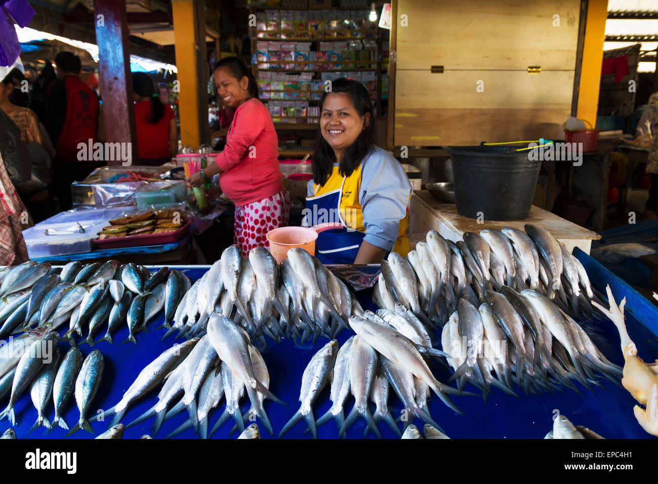 Poissonnier au marché de Bolu, Rantepao, terres Toraja, au sud de Sulawesi, Indonésie Banque D'Images