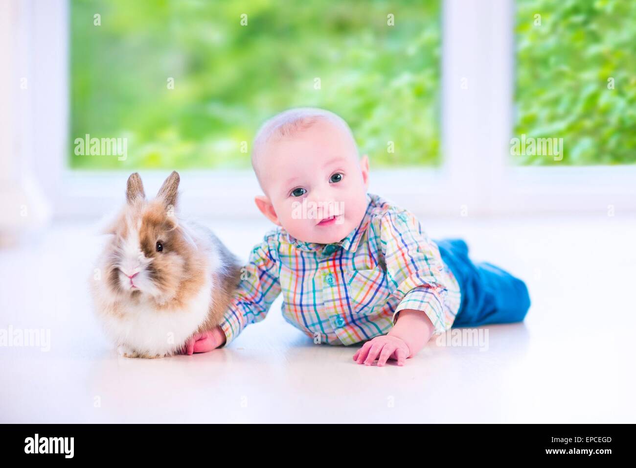 Adorable petit bébé jouant avec un drôle de lapin réel sur le sol dans un livre blanc, ensoleillée et une grande fenêtre sur le jardin Banque D'Images