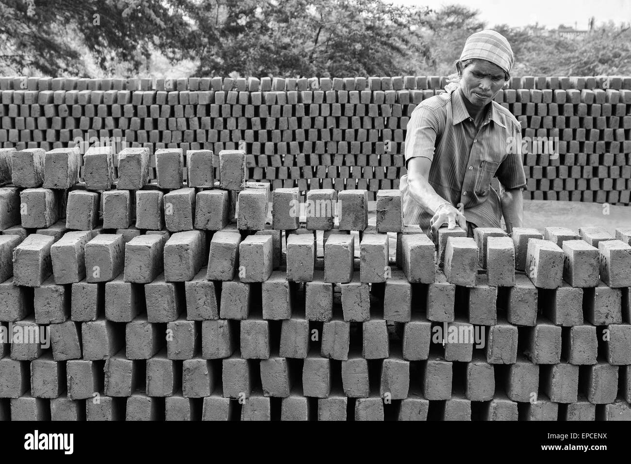 Indian woman stacking bricks au Tamil Nadu, Inde Banque D'Images