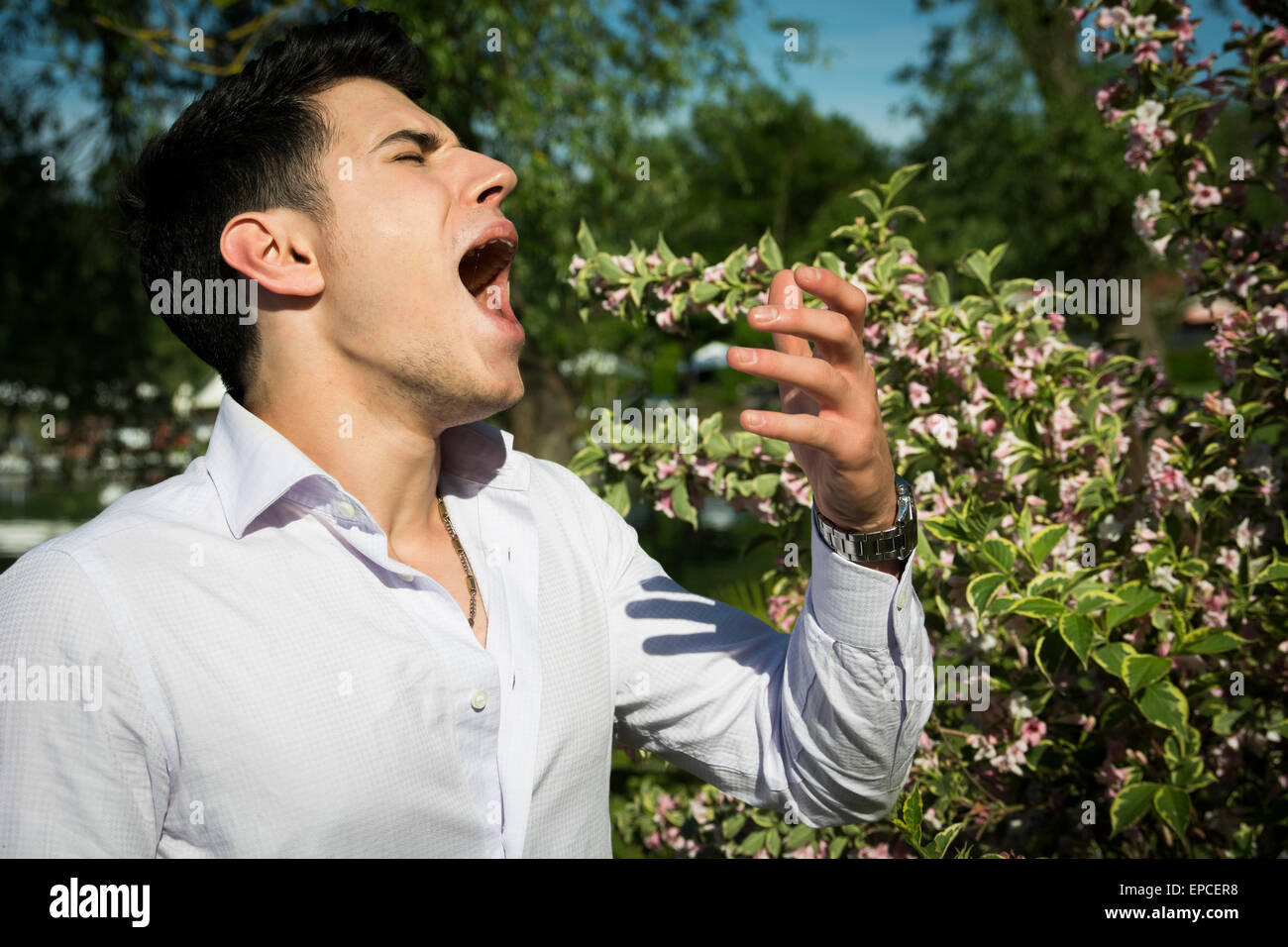 Séduisant jeune homme à côté de fleurs les éternuements à cause de l'allergie rhume des foins Banque D'Images