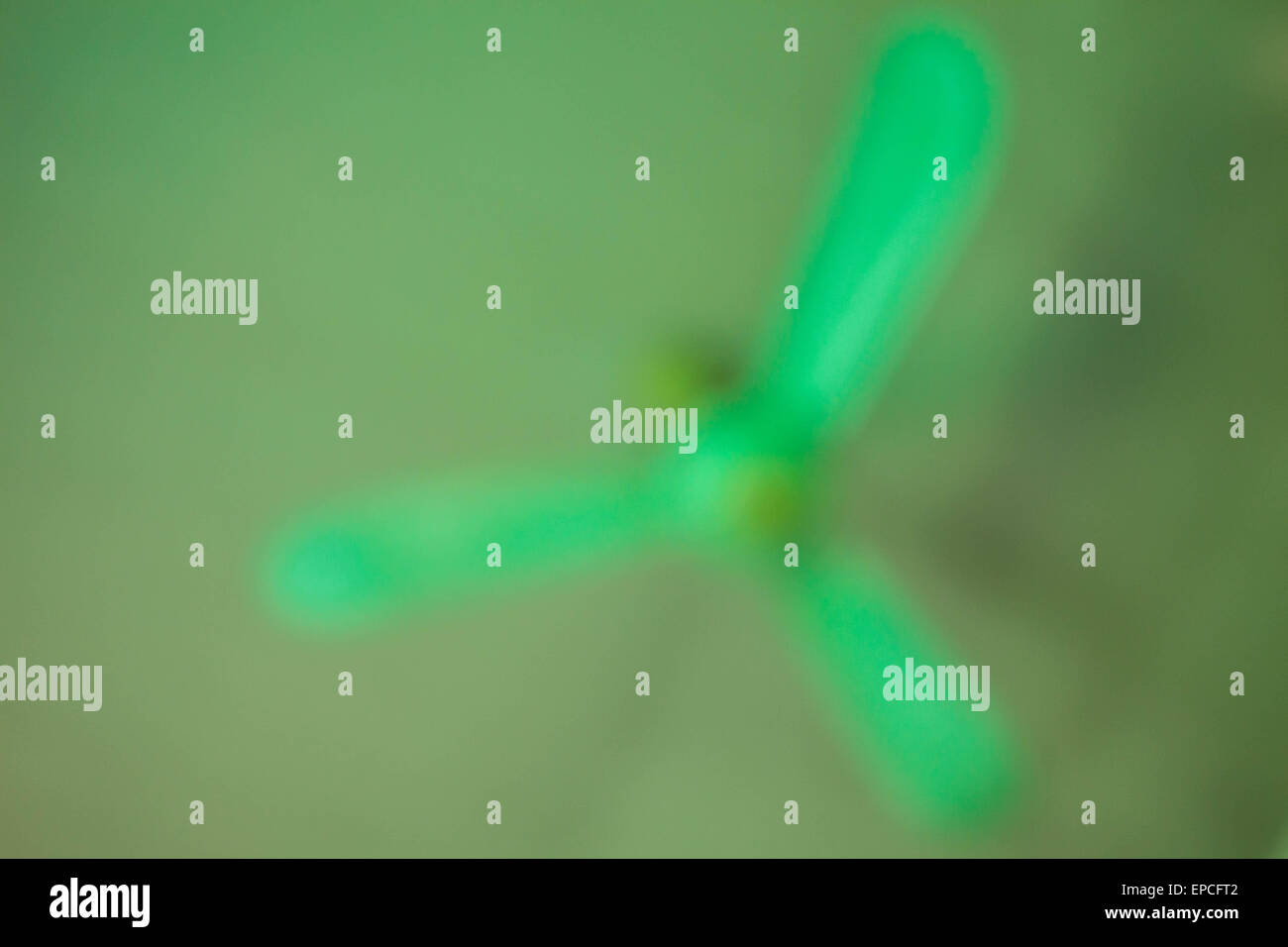 Ventilateur au plafond flou Banque D'Images