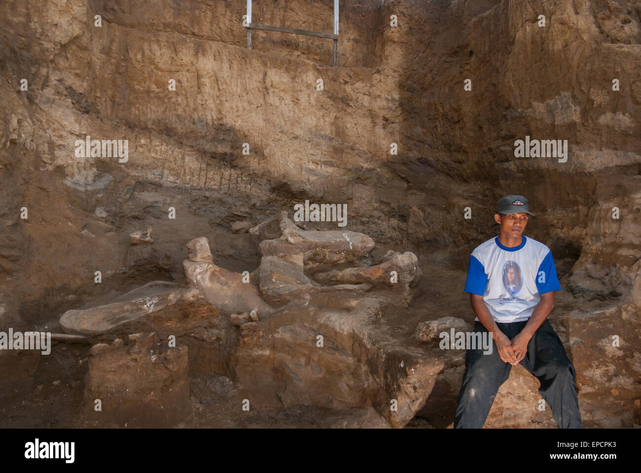 Un villageois est photographié sur le site d'excavation des os fossilisés d'une espèce d'éléphant éteinte, Elepha hysudrindicus, à Blora, en Indonésie. Banque D'Images